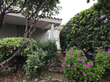 Ferienhaus in Porto Vecchio (Corse-du-Sud) oder Ferienwohnung oder Ferienhaus