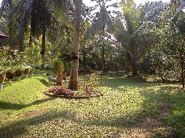 Ferienhaus in KALUTARA (Kalutara) oder Ferienwohnung oder Ferienhaus