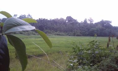 Ferienhaus in KALUTARA (Kalutara) oder Ferienwohnung oder Ferienhaus