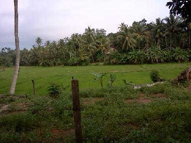 Ferienhaus in KALUTARA (Kalutara) oder Ferienwohnung oder Ferienhaus