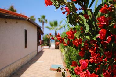 Villa in Campofelice Di Roccella (Palermo) oder Ferienwohnung oder Ferienhaus