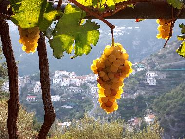 Ferienhaus in RAVELLO  (Salerno) oder Ferienwohnung oder Ferienhaus