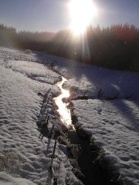 Ferienwohnung in Olsberg (Sauerland) oder Ferienwohnung oder Ferienhaus