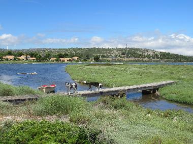 Ferienhaus in PORT FITOU (Aude) oder Ferienwohnung oder Ferienhaus