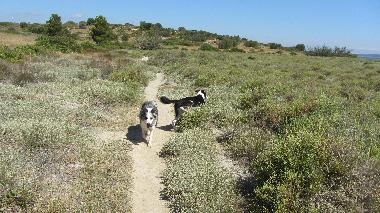Ferienhaus in PORT FITOU (Aude) oder Ferienwohnung oder Ferienhaus