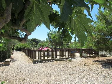 Ferienhaus in PORT FITOU (Aude) oder Ferienwohnung oder Ferienhaus