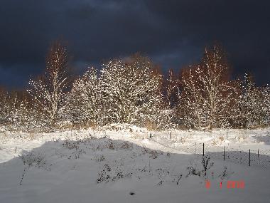 Blick aus dem Fenster