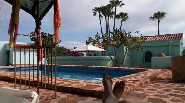 Ferienhaus in Moraira (Alicante / Alacant) oder Ferienwohnung oder Ferienhaus