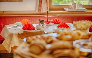 Ferienwohnungen in Steinhaus im Ahrntal Residence L�fflerblick