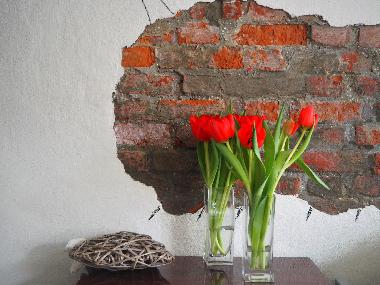 Ferienwohnung in Westkapelle (Zeeland) oder Ferienwohnung oder Ferienhaus
