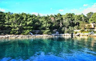Ferienwohnung in Molat (Zadarska) oder Ferienwohnung oder Ferienhaus