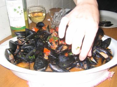 Ferienwohnung in Tirrenia (Pisa) oder Ferienwohnung oder Ferienhaus