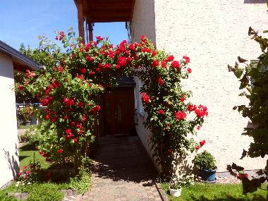 Ferienwohnung in Beverungen (Weserbergland) oder Ferienwohnung oder Ferienhaus