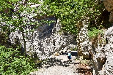 Ferienwohnung in Oberau Wildschoenau (Tiroler Unterland) oder Ferienwohnung oder Ferienhaus
