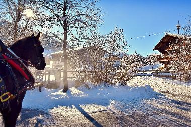 Ferienwohnung in Oberau Wildschoenau (Tiroler Unterland) oder Ferienwohnung oder Ferienhaus