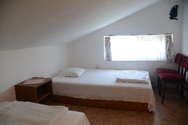 Villa in Golden Sands (Varna) oder Ferienwohnung oder Ferienhaus