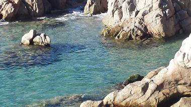 Ferienwohnung in Platja d