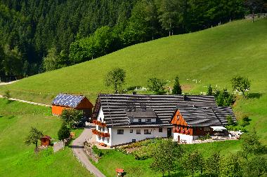Ferienhaus - Ferienwohnungen Mllerbauernhof im Schwarzwald