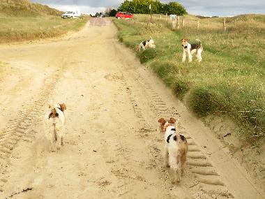 Ferienhaus in Denneville-Plage (Manche) oder Ferienwohnung oder Ferienhaus