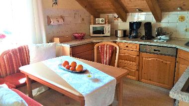 K�chenkomfortausstattung mit Sp�lmaschine, Riesen Touch-Ceranfeld mit Umluftherd der neuesten Genera