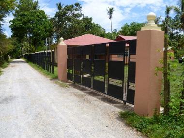 Pension in S�nchez  (Samana) oder Ferienwohnung oder Ferienhaus