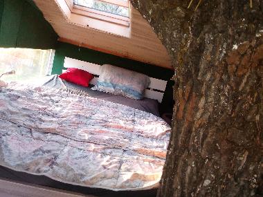 Ferienhaus in grosuplje (Grosuplje) oder Ferienwohnung oder Ferienhaus