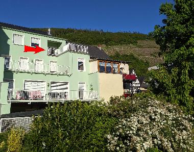 Ferienwohnung in Zell Mosel (Mosel - Saar) oder Ferienwohnung oder Ferienhaus