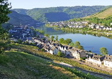 Ferienwohnung in Zell Mosel (Mosel - Saar) oder Ferienwohnung oder Ferienhaus