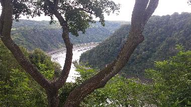 Blick von der Loreley