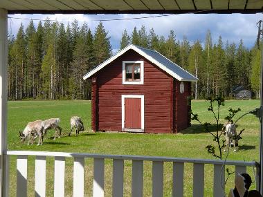 Ferienhaus in Lansj�rv �nges� (Norrbotten) oder Ferienwohnung oder Ferienhaus