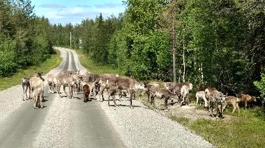 Ferienhaus in Lansj�rv �nges� (Norrbotten) oder Ferienwohnung oder Ferienhaus