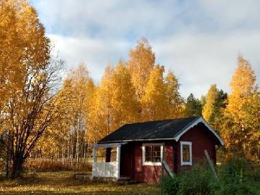 Ferienhaus in Lansj�rv �nges� Aspberg (Norrbotten) oder Ferienwohnung oder Ferienhaus