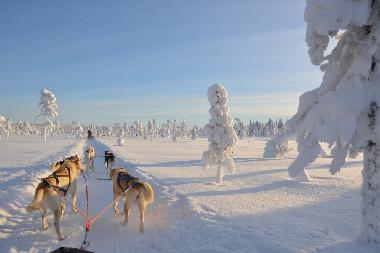 Ferienhaus in Lansj�rv �nges� Aspberg (Norrbotten) oder Ferienwohnung oder Ferienhaus