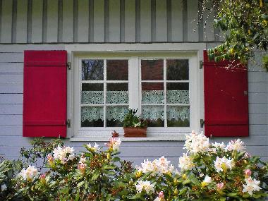 Ferienwohnung in Amtzell (Bodensee) oder Ferienwohnung oder Ferienhaus