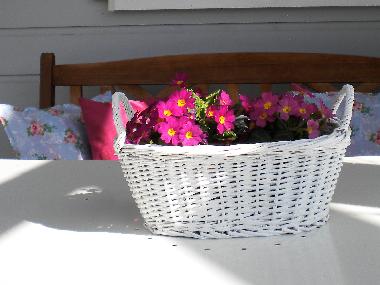 Ferienwohnung in Amtzell (Bodensee) oder Ferienwohnung oder Ferienhaus