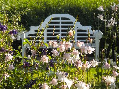 Ferienwohnung in Amtzell (Bodensee) oder Ferienwohnung oder Ferienhaus