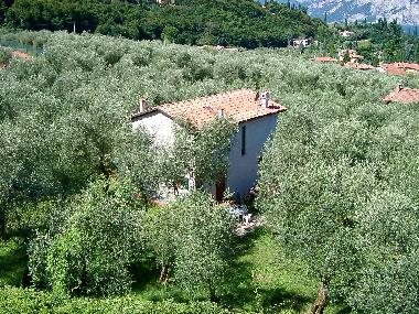 Ferienhaus Laura in einem Olivenhain
