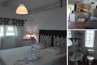 Ferienhaus in BEDARRIDES (Vaucluse) oder Ferienwohnung oder Ferienhaus