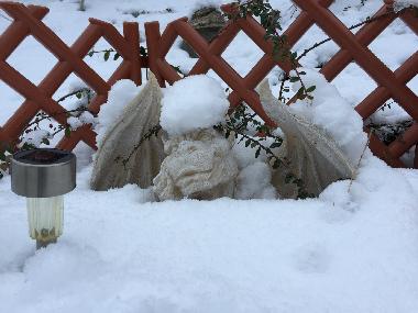 Ferienhaus in Sch�nfeld M�hle (Mecklenburg-Schwerin) oder Ferienwohnung oder Ferienhaus