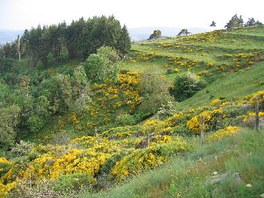 Ferienhaus in Saint-Jeure d