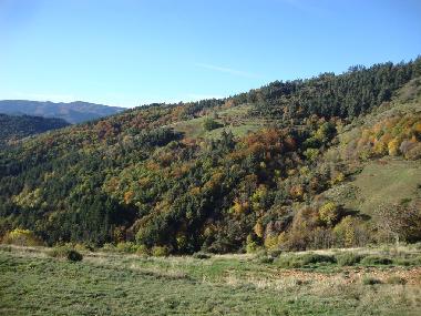 Ferienhaus in Saint-Jeure d