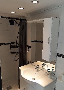 Ferienhaus in Den Osse (Zeeland) oder Ferienwohnung oder Ferienhaus