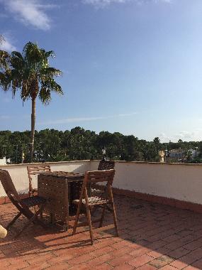 Dachterrasse