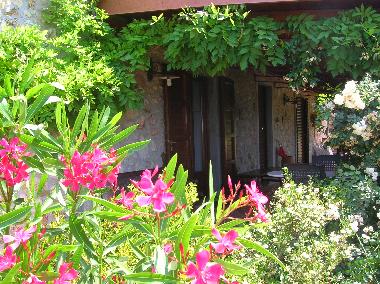 Ferienwohnung in Castellina Marittima (Pisa) oder Ferienwohnung oder Ferienhaus