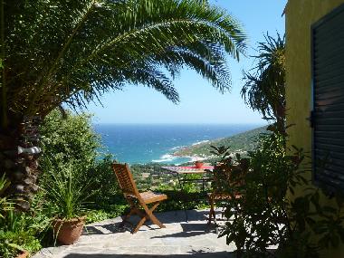 Terrasse Studio Palmier