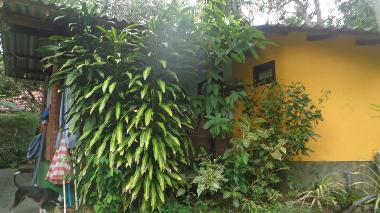 Ferienhaus in hikkaduwa (Galle) oder Ferienwohnung oder Ferienhaus