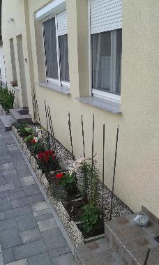 Ferienwohnung in B�k (Vas) oder Ferienwohnung oder Ferienhaus