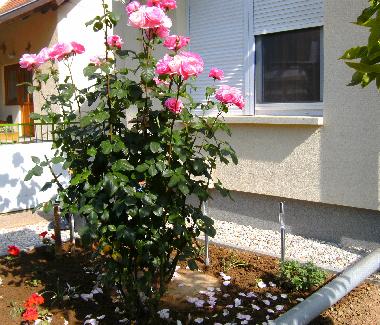 Ferienhaus in B�kf�rdő (Vas) oder Ferienwohnung oder Ferienhaus