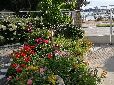 Ferienwohnung in Vodice (Sibensko-Kninska) oder Ferienwohnung oder Ferienhaus