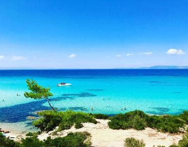 Ferienhaus in Psakoudia (Chalkidiki) oder Ferienwohnung oder Ferienhaus